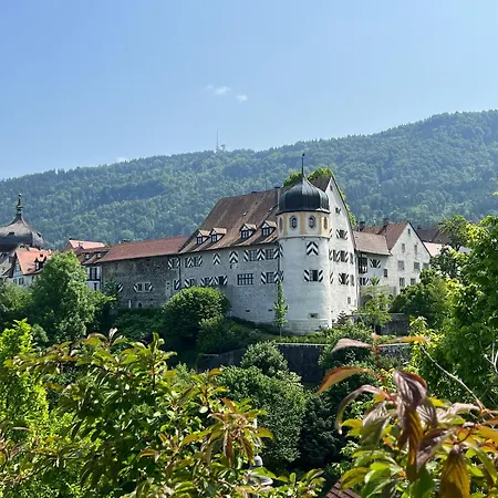 Uptown Jewel Apartment Bregenz